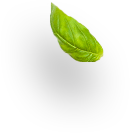 Serv-Sol Supermercado