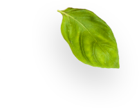 Serv-Sol Supermercado