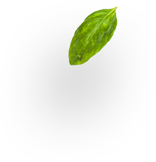 Serv-Sol Supermercado