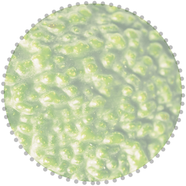 Serv-Sol Supermercado